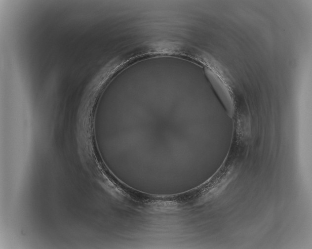 X0000113270577200909101521