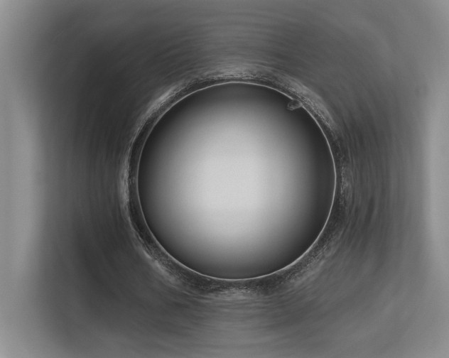 X0000113270578200909101521