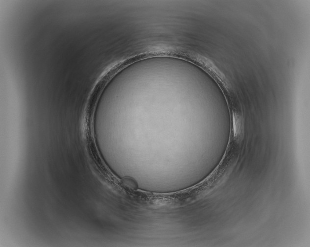 X0000113270579200909101521