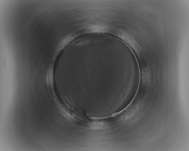 X0000113270581200909101521