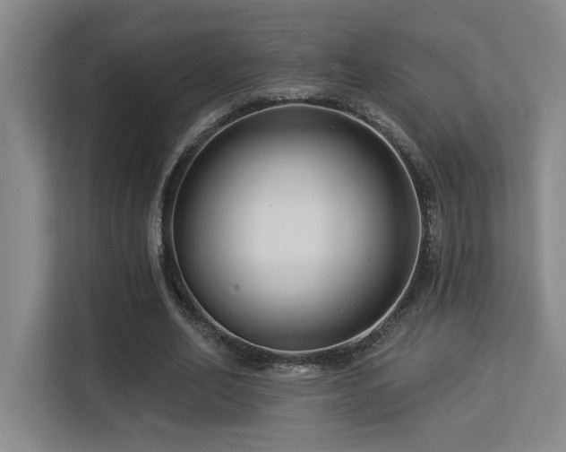 X0000113270582200909101521