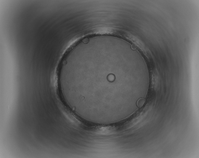 X0000113270584200909101521