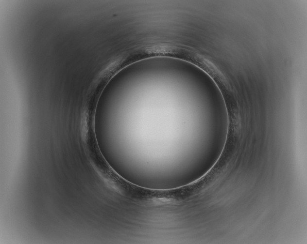 X0000113270586200909101521