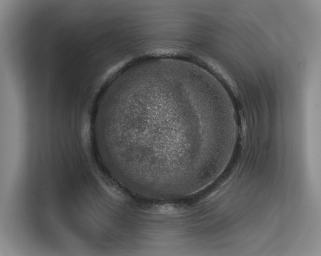X0000113270588200909101521
