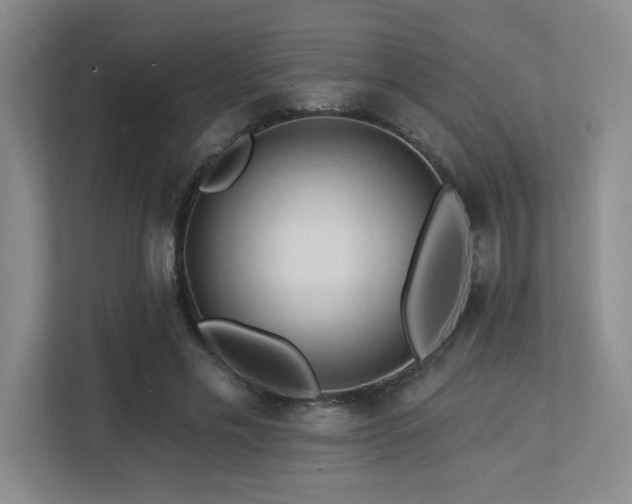 X0000113270589200909101521