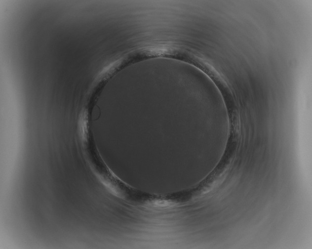 X0000113270590200909101521