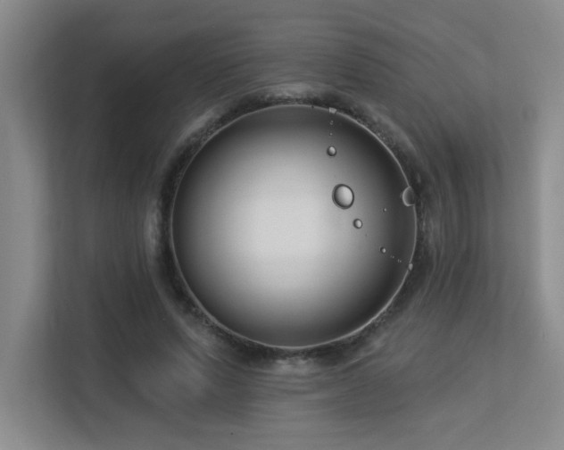 X0000113270591200909101521