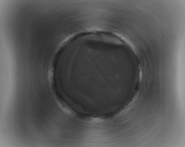 X0000113270592200909101521