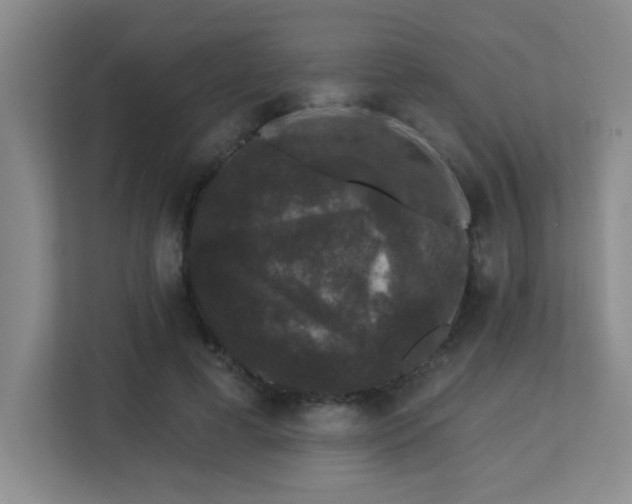 X0000113270593200909101521