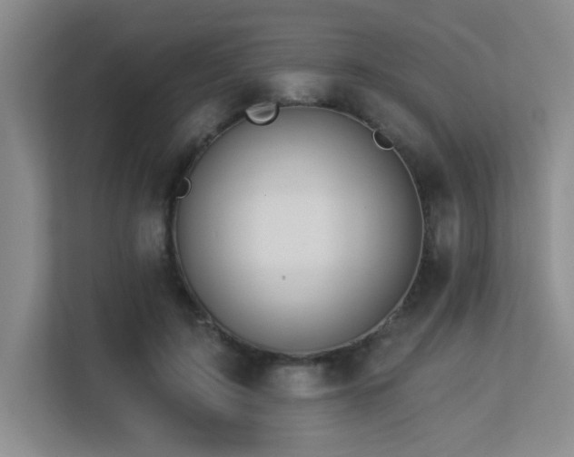 X0000113270595200909101520