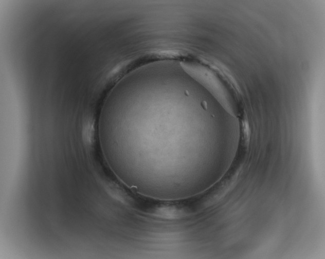 X0000113270596200909101520