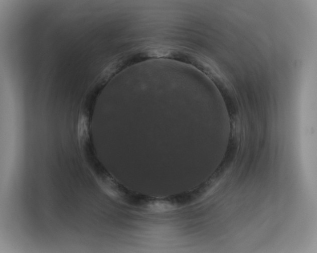 X0000113270598200909101520