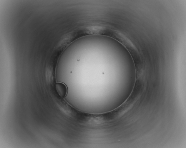 X0000113270599200909101520