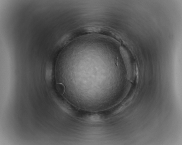X0000113270600200909101520