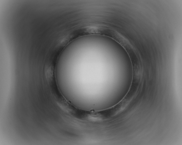 X0000113270603200909101520