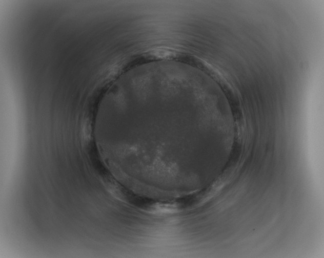 X0000113270606200909101520