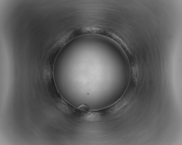 X0000113270617200909101520