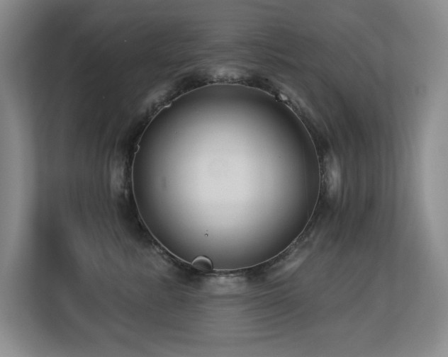 X0000113270619200909101520