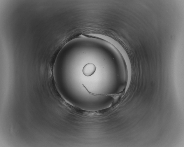 X0000113270621200909101520