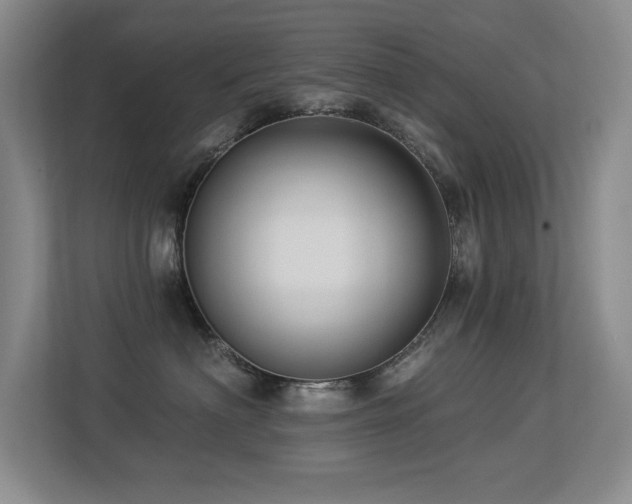 X0000113270622200909101520