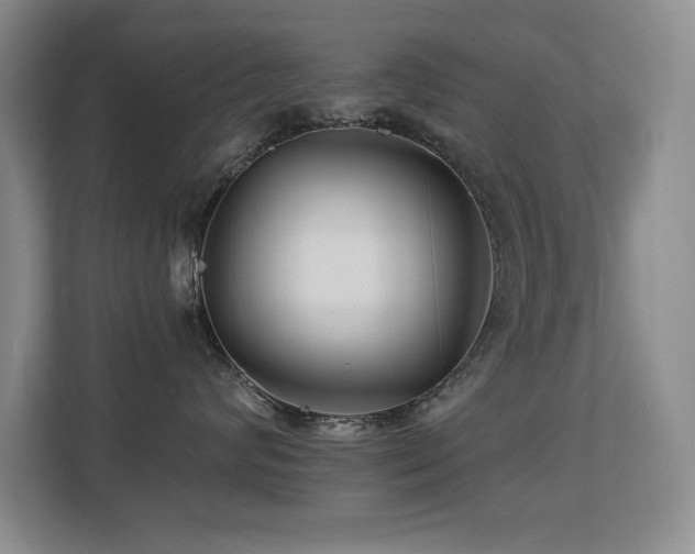 X0000113270624200909101520
