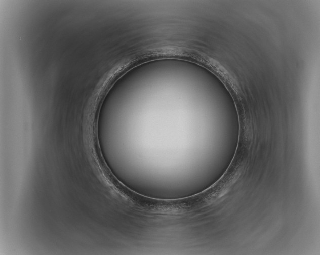 X0000113270625200909101519