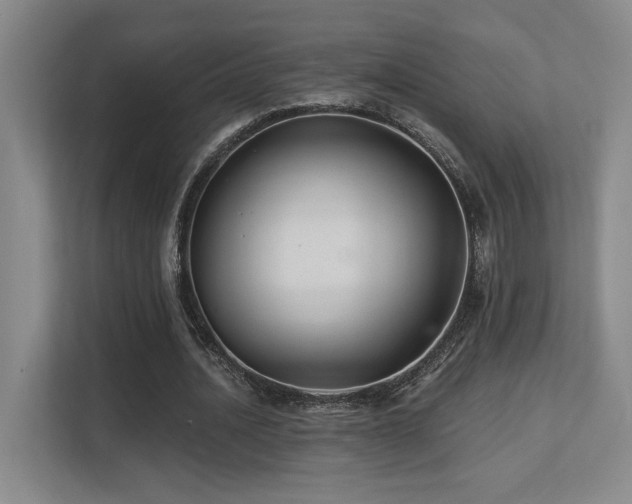 X0000113270628200909101520