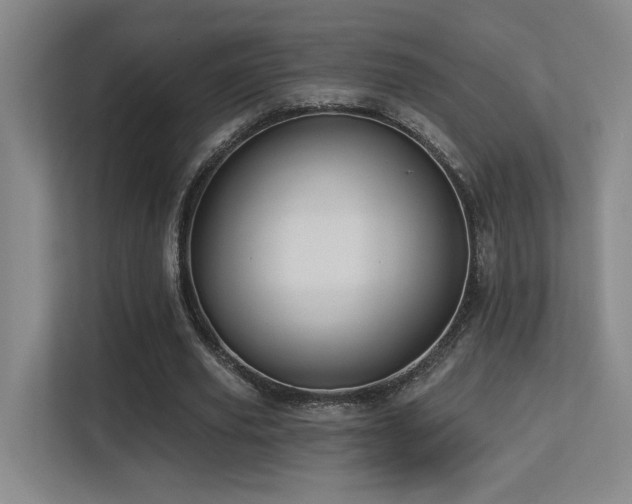 X0000113270629200909101520