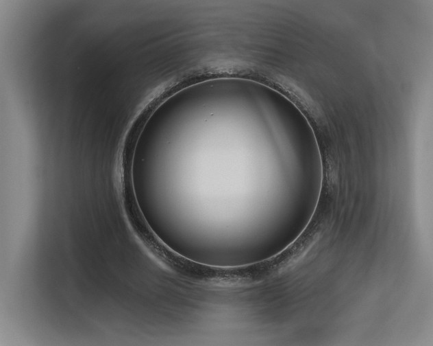 X0000113270630200909101520
