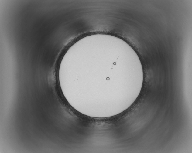 X0000113270632200909101520