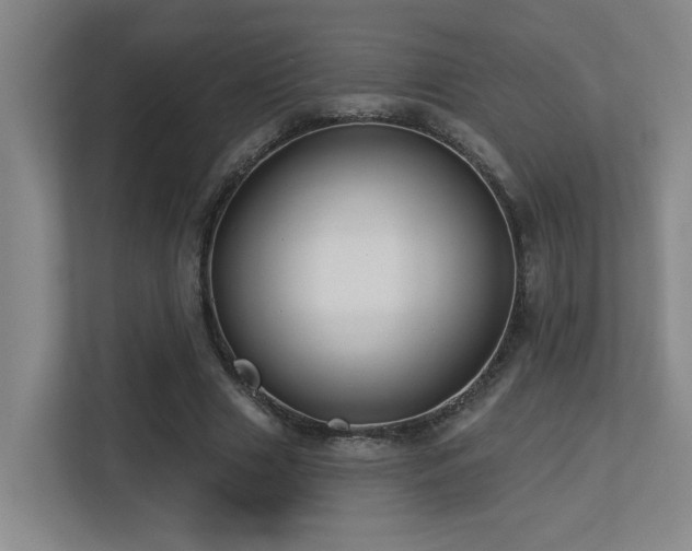 X0000113270633200909101520