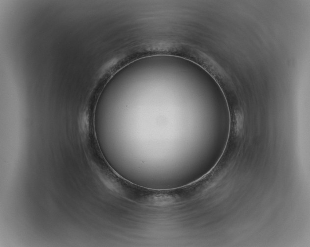 X0000113270636200909101520
