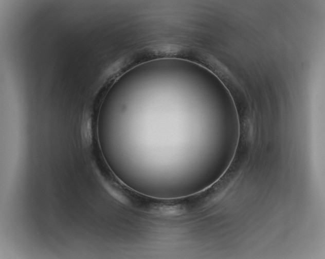 X0000113270638200909101520