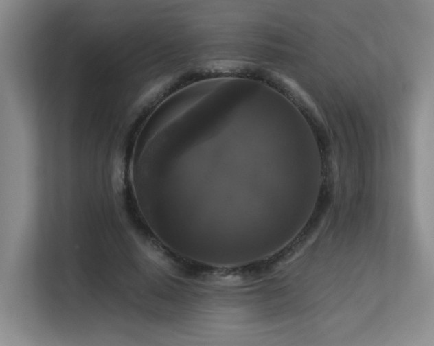 X0000113270640200909101520