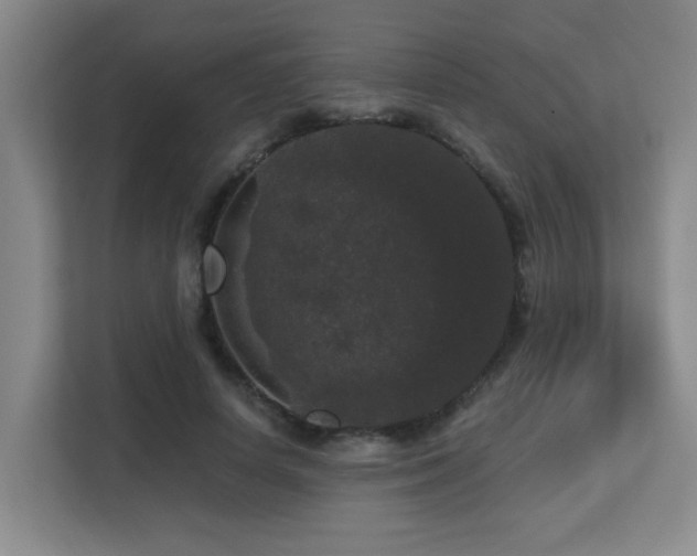 X0000113270642200909101520