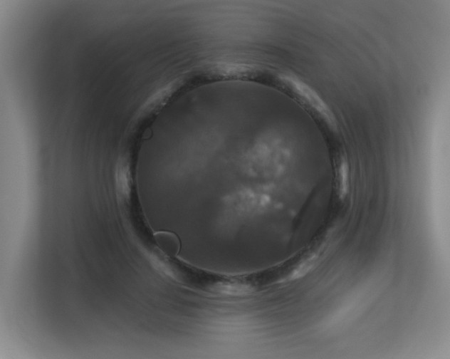 X0000113270644200909101520
