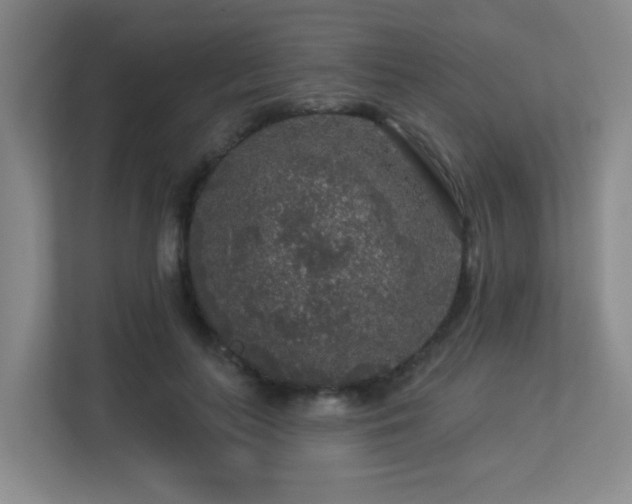 X0000113270647200909101520