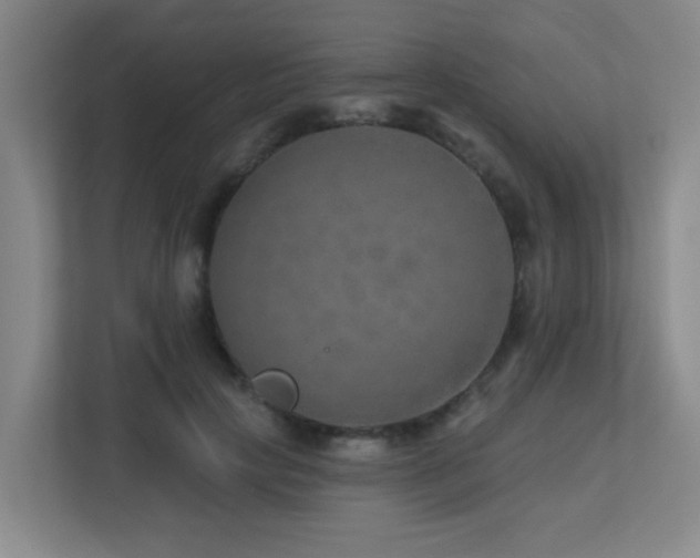 X0000113270649200909101520