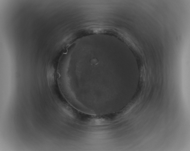 X0000113270650200909101520