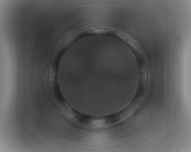 X0000113270653200909101520