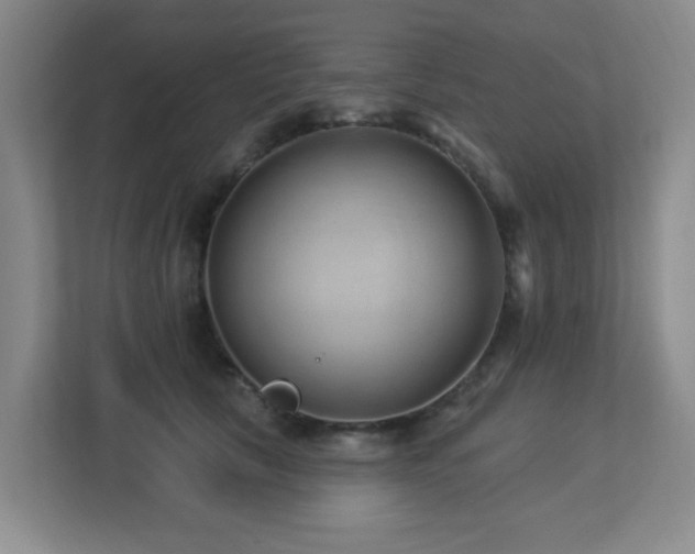 X0000113270657200909101520