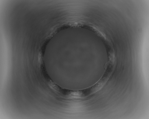 X0000113270659200909101520