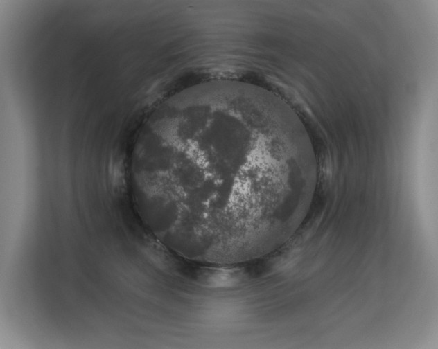 X0000113270663200909101520