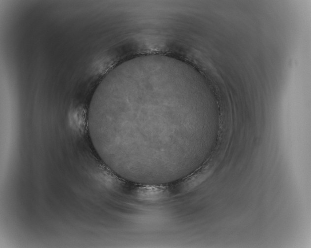 X0000113270672200909101520