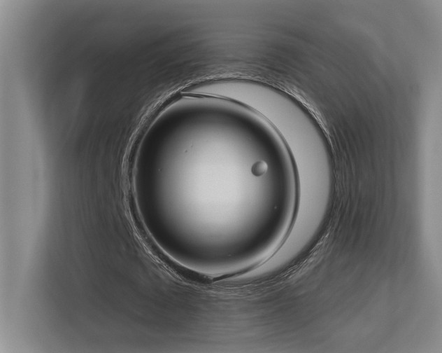 X0000113270673200909101519