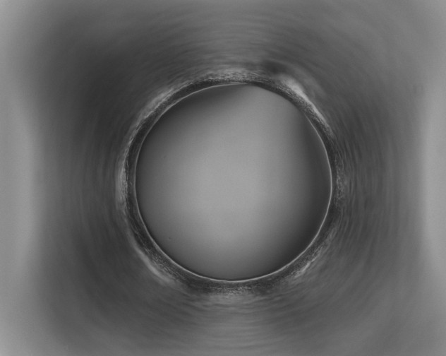 X0000113270674200909101519