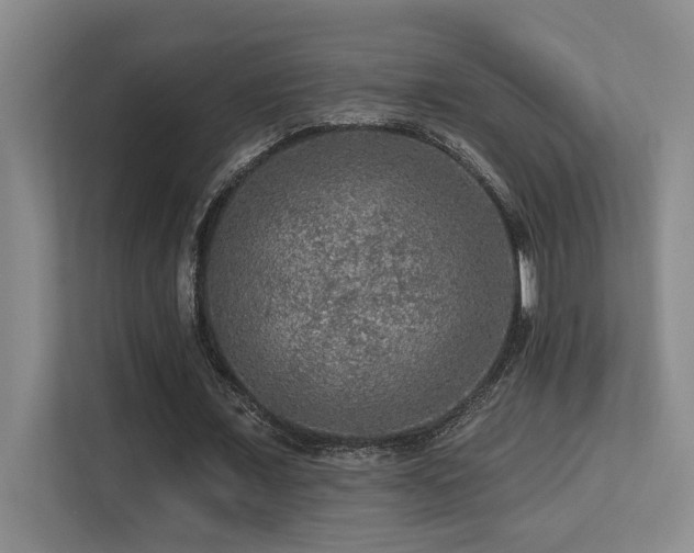 X0000113270675200909101519