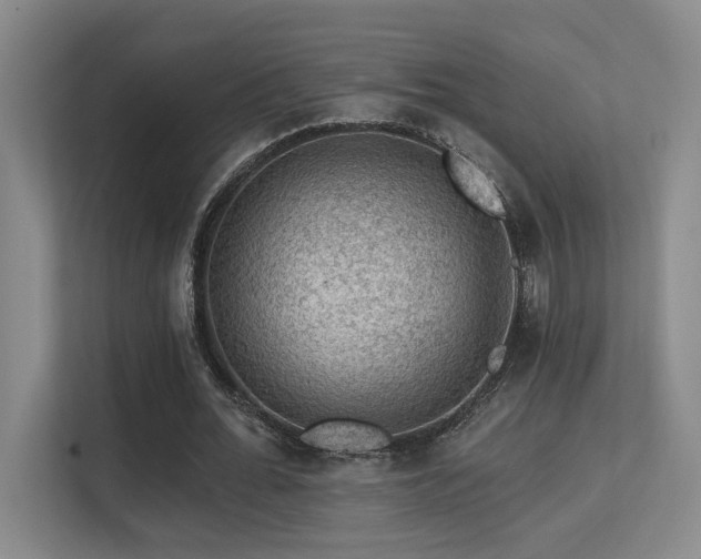 X0000113270676200909101519