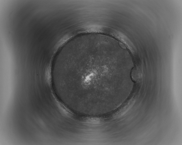 X0000113270677200909101519