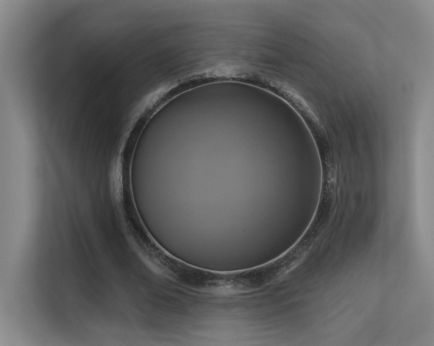 X0000113270678200909101519